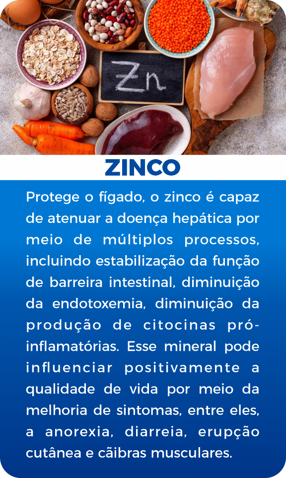 imgi_18_Zinco