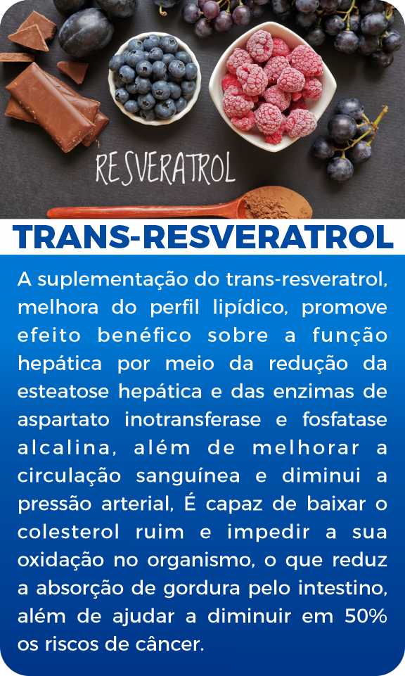 imgi_21_trans